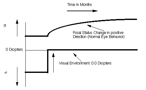 Graph of the focal-change characteristic of a natural eye
    when it is presented with a sudden positive change in
    its average visual environment.  (The positive change
    is much slower than the negative change.)