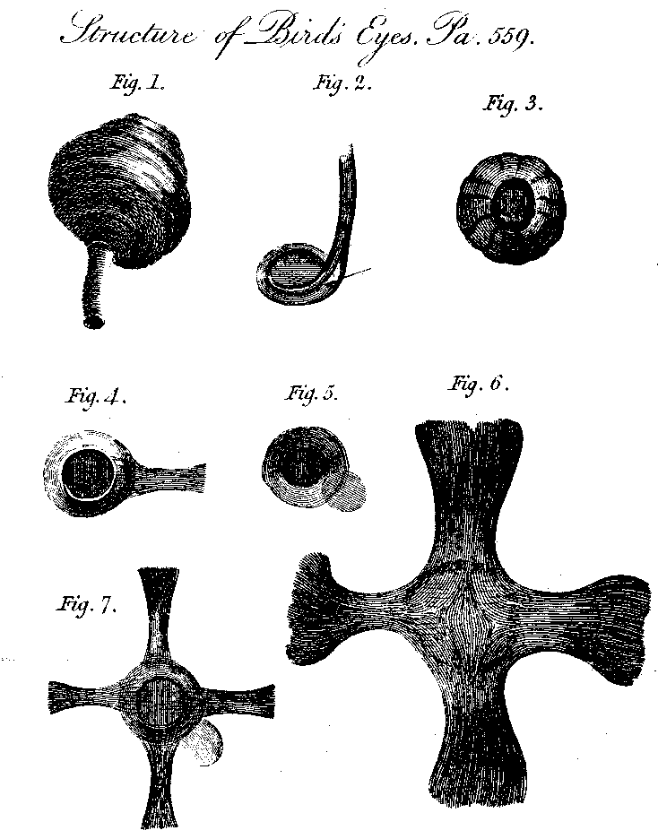 Figures 1-6